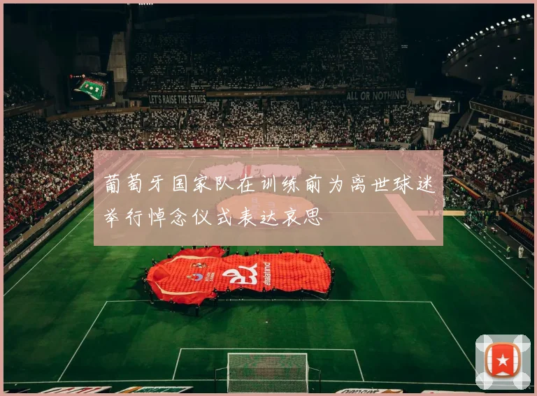 葡萄牙国家队在训练前为离世球迷举行悼念仪式表达哀思